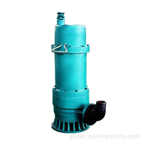 Irrigation Submersible Pump Submerged sand pump WQ water pump Irrigation submersible pump Manufactory